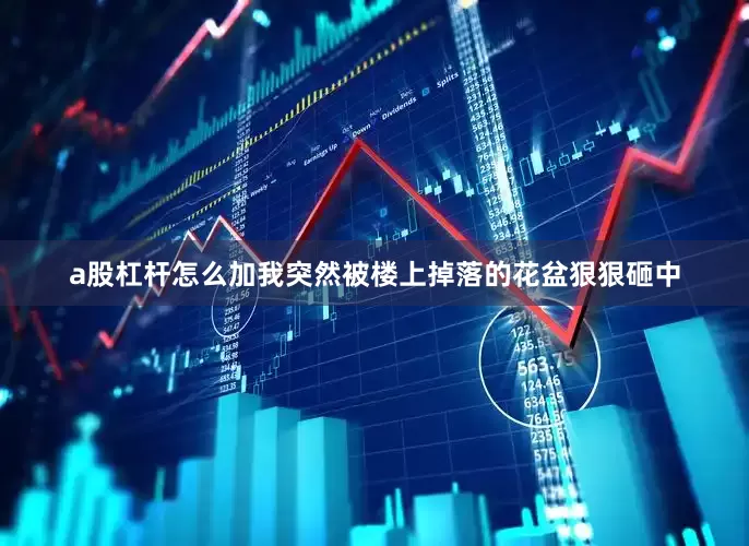 a股杠杆怎么加我突然被楼上掉落的花盆狠狠砸中
