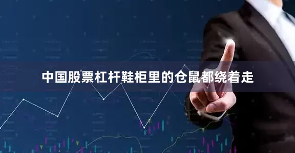 中国股票杠杆鞋柜里的仓鼠都绕着走