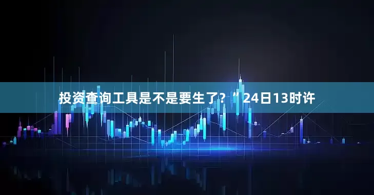 投资查询工具是不是要生了？”24日13时许